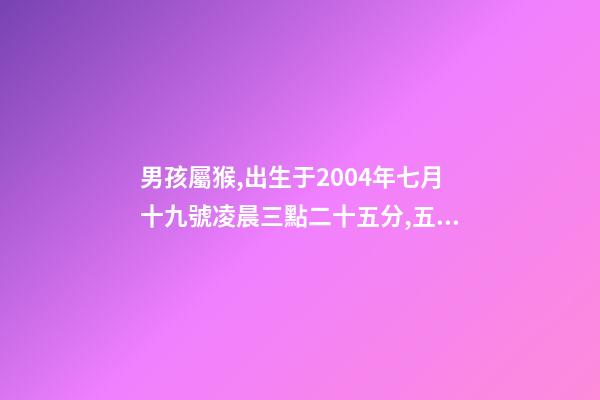 男孩屬猴,出生于2004年七月十九號凌晨三點二十五分,五行缺什么 2004年屬猴時辰命運，2004年幾點出生更好